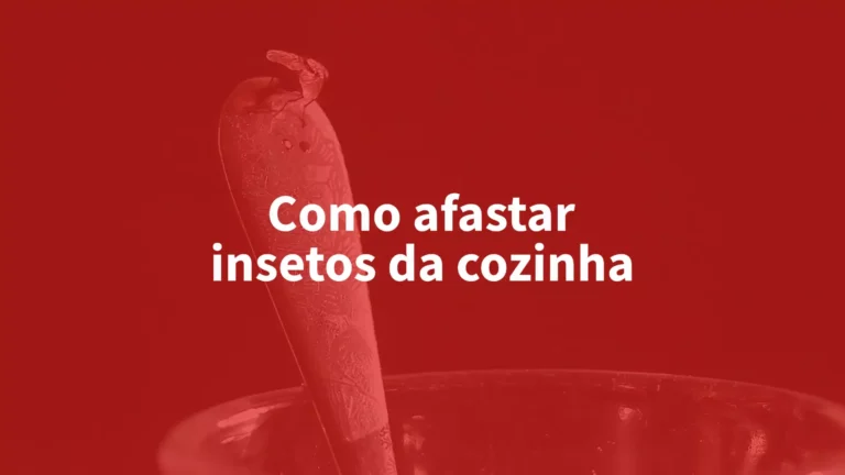 Como Evitar Insetos na Cozinha: Dicas Práticas para um Ambiente Livre de Pragas               Insetos na Cozinha