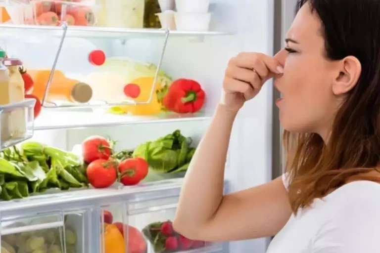 Dicas Eficazes para Eliminar o Mau Cheiro da Geladeira